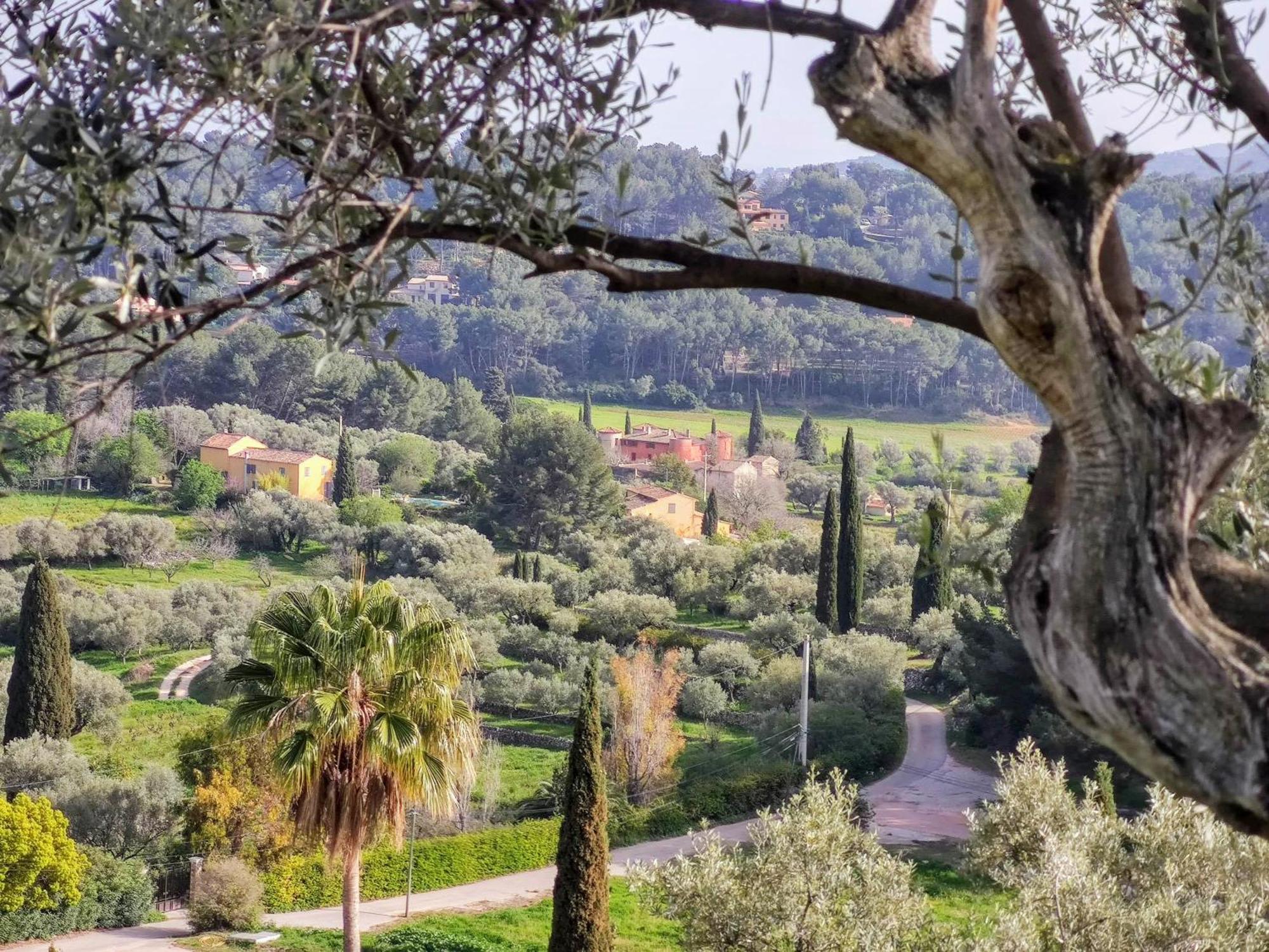 Villa Des Oliviers Sanary-sur-Mer Exterior foto
